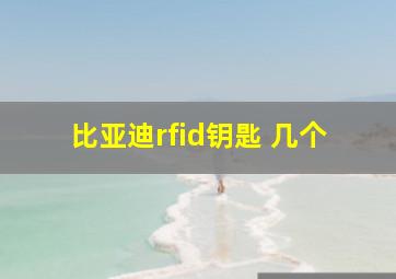 比亚迪rfid钥匙 几个